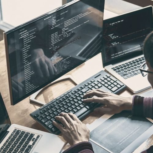 Website Development Service Mangrove Studio